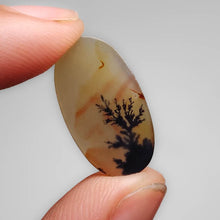 Load image into Gallery viewer, Scenic Dendritic Agate Cabochon-FCW3743
