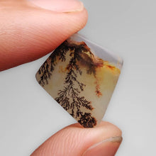 Load image into Gallery viewer, Scenic Dendritic Agate Cabochon-FCW3744
