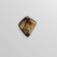 Load image into Gallery viewer, Scenic Dendritic Agate Cabochon
