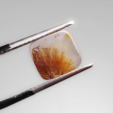 Load image into Gallery viewer, Scenic Dendritic Agate Cabochon-FCW3747
