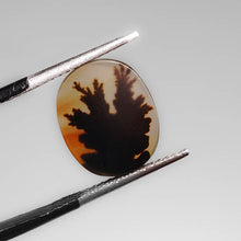 Load image into Gallery viewer, Scenic Dendritic Agate Cabochon-FCW3748
