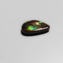 Load image into Gallery viewer, AAA Ammolite Cabochon
