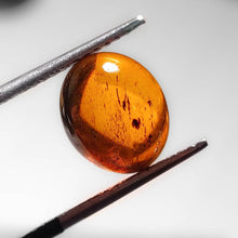 Load image into Gallery viewer, Baltic Amber Cabochon-FCW3802
