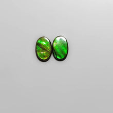 Load image into Gallery viewer, AAA Ammolite Pair-FCW3818
