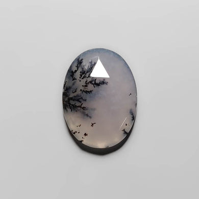 Rose Cut Scenic Dendritic Agate-FCW3871