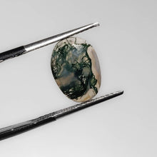 Load image into Gallery viewer, Rose Cut Moss Agate-FCW3876
