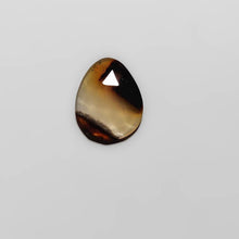 Load image into Gallery viewer, Rose Cut Montana Agate-FCW3881
