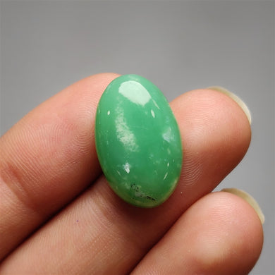 Australian Chrysoprase