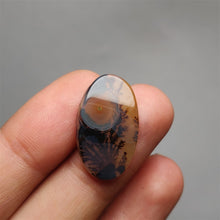 Load image into Gallery viewer, AAA Scenic Agates
