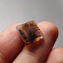 Load image into Gallery viewer, AAA Scenic Agate
