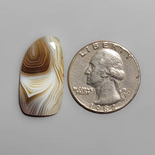Load image into Gallery viewer, Botswana Agate Cabochon FCW3401
