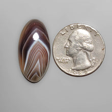 Load image into Gallery viewer, Botswana Agate Cabochon FCW3402
