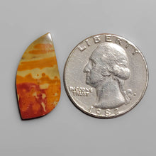 Load image into Gallery viewer, Picture Jasper Cabochon FCW3416
