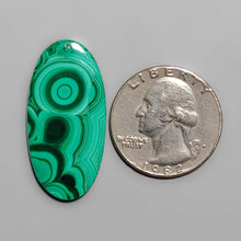 Load image into Gallery viewer, High Grade Botryoidal Malachite Cabochon FCW3422
