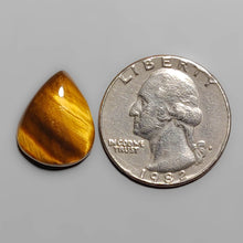 Load image into Gallery viewer, Tiger Eye Cabochon FCW3427
