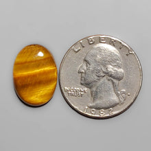 Load image into Gallery viewer, Tiger Eye Cabochon FCW3430
