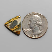 Load image into Gallery viewer, Ocean Jasper Cabochon FCW3455
