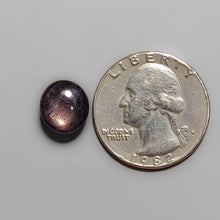 Load image into Gallery viewer, Black Cherry Star Ruby Cabochon FCW3457
