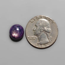 Load image into Gallery viewer, Black Cherry Star Ruby Cabochon FCW3464
