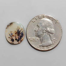 Load image into Gallery viewer, Scenic Dendritic Agate Cabochon FCW3474
