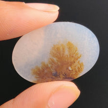 Load image into Gallery viewer, Large Scenic Dendritic Agate Cabochon

