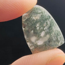 Load image into Gallery viewer, Horse Canyon Moss Agate Cabochon
