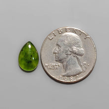 Load image into Gallery viewer, Gemmy Serpentine Cabochon FCW3484
