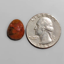 Load image into Gallery viewer, Rose Cut Bloodstone FCW3529

