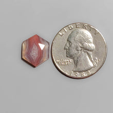 Load image into Gallery viewer, Rose Cut Botswana Agate FCW3572
