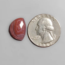 Load image into Gallery viewer, Rose Cut Botswana Agate FCW3574
