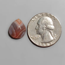 Load image into Gallery viewer, Rose Cut Botswana Agate FCW3575
