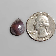 Load image into Gallery viewer, Rose Cut Botswana Agate FCW3576
