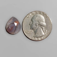 Load image into Gallery viewer, Rose Cut Botswana Agate FCW3577
