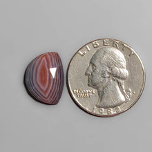 Load image into Gallery viewer, Rose Cut Botswana Agate FCW3578
