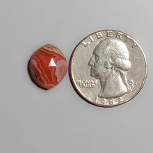 Load image into Gallery viewer, Rose Cut Botswana Agate FCW3579
