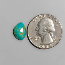 Load image into Gallery viewer, Rose Cut Nevada Turquoise FCW3596
