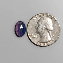 Load image into Gallery viewer, Rose Cut Fluorite FCW3603
