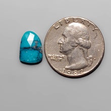 Load image into Gallery viewer, Rose Cut Hubei Turquoise FCW3611
