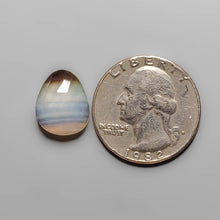 Load image into Gallery viewer, Rose Cut Tuxedo Agate FCW3628
