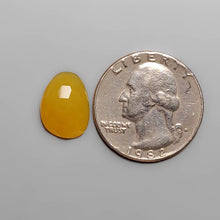 Load image into Gallery viewer, Hoenycomb Cut Yellow Opal FCW3645
