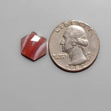 Load image into Gallery viewer, Rose Cut Botswana Agate FCW3675
