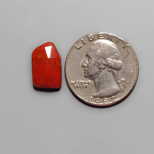 Load image into Gallery viewer, Rose Cut Red Petrified Wood FCW3676
