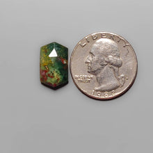 Load image into Gallery viewer, Rose Cut Bloodstone FCW3678
