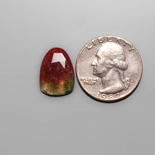Load image into Gallery viewer, Rose Cut Red Moss Agate FCW3679

