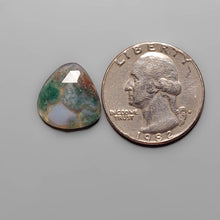 Load image into Gallery viewer, Rose Cut Red Moss Agate FCW3680
