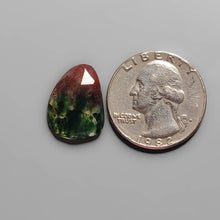 Load image into Gallery viewer, Rose Cut Red Moss Agate FCW3684
