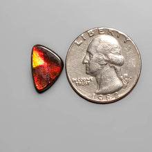 Load image into Gallery viewer, High Grade Ammolite Cabochon FCW3694

