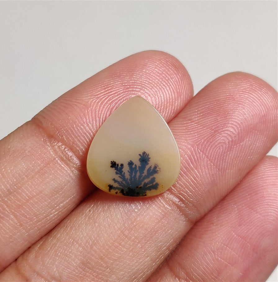 Scenic Dendritic Agate Cabs