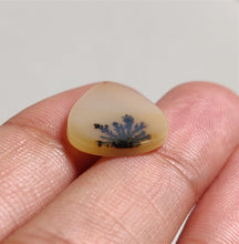 Load image into Gallery viewer, Scenic Dendritic Agate Cabs
