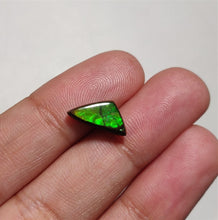 Load image into Gallery viewer, AAA Ammolite Cabs
